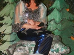 Der Feuerfalke 2009